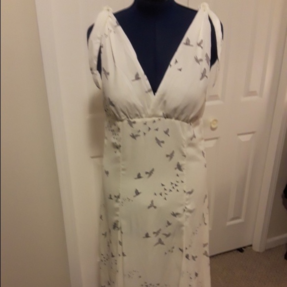 Beautiful bird dress